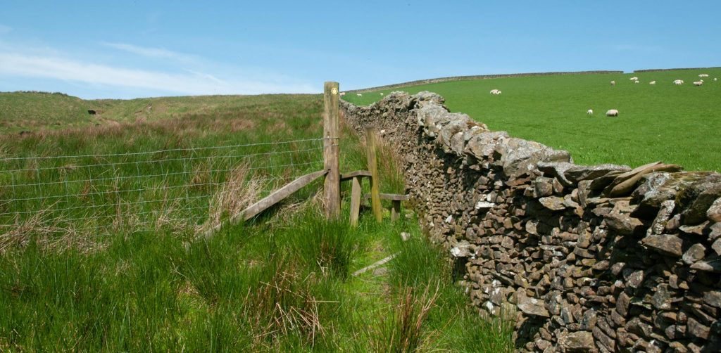 Calfield Rig and Mid Hill